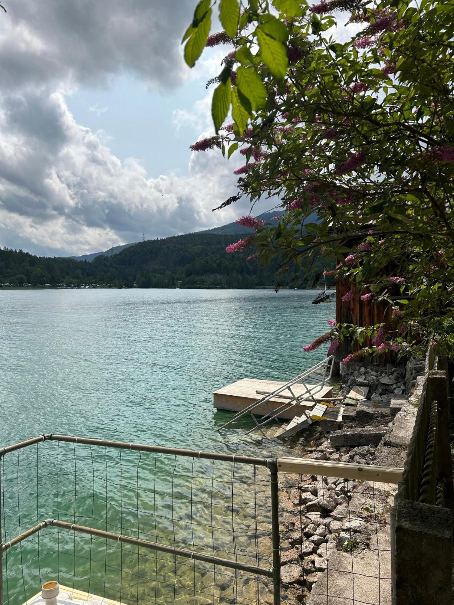 Seerose Walchensee Exteriör bild